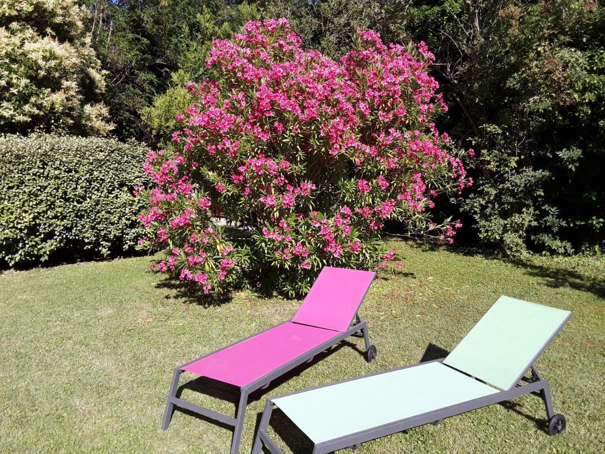 Le Mas Du Chat Bed and Breakfast Cavaillon Eksteriør billede